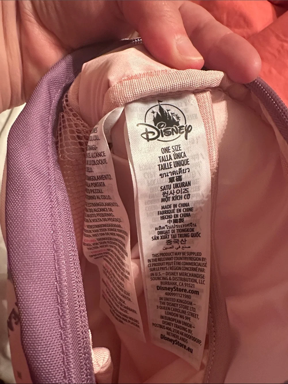 Pink & Purple Disney World Crossbody Bag